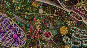 Восстановление материи человека числовыми концентрациями.