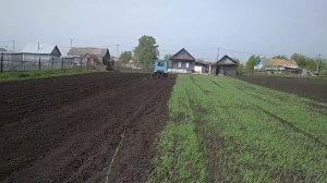 «Закрываем» картофель после посадки.