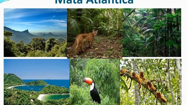 4º ANO CIÊNCIAS SEMANA DE 13 A 17 DE JULHO смотреть онлайн