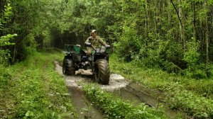 За грибами и не только #514