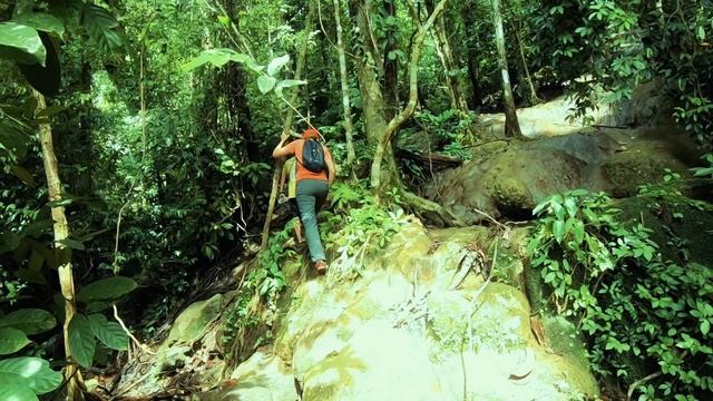 🔴KHAO SOK BIRDWATCHING and Jungle Trekking - Trip to the South of Thailand EP. 4/4 смотреть онлайн