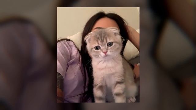 ATMOSPHERIC PHONK 2025