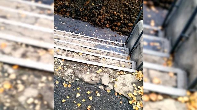 Гиперплазия-2. "В прокуратуре надо мной вежливо смеялись" смотреть онлайн