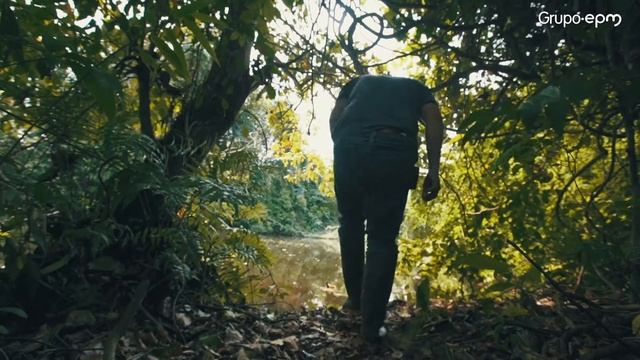 Incondicional Es Proteger La Biodiversidad A Través De Planes Compensación Ambiental