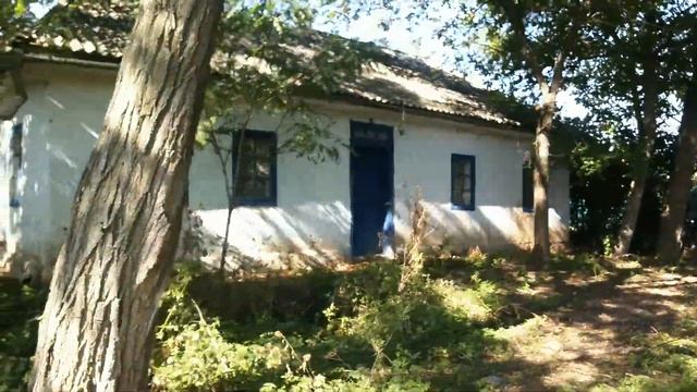 Дом в селе Устье смотреть онлайн