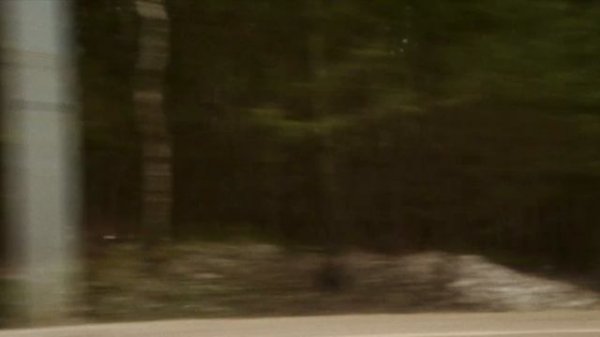 Audi RS6 C8 MTM by Audi Family