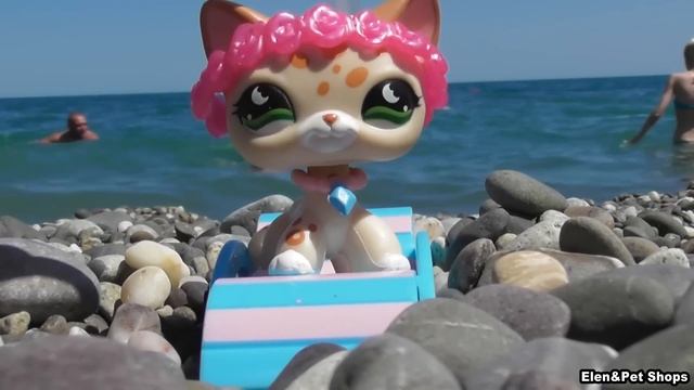 LPS НОВОСТИ КАНАЛА ELEN & PET SHOPS