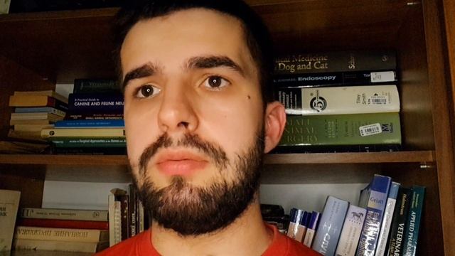 Епілепсія у собачки це норма? смотреть онлайн