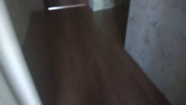 мы котёнка постригли и он стал сфинксом