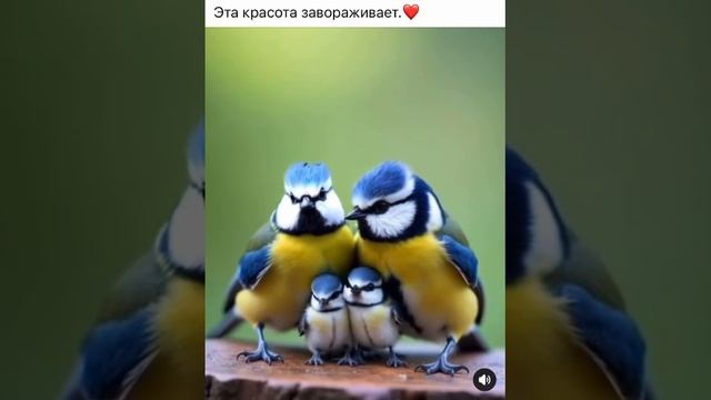 1000000340.mp4 смотреть онлайн