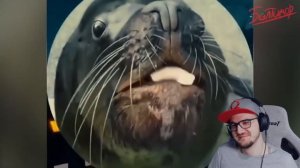 ЗАСМЕЯЛСЯ - ПРОИГРАЛ ► ЛУЧШИЕ ПРИКОЛЫ ( УЛЫБНУЛИСЬ ПРОИГРАЛИ ) | Реакция