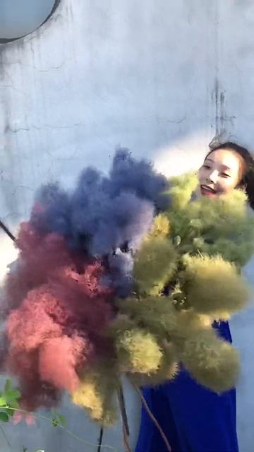 Smoke tree 스모크트리 煙霧樹 смотреть онлайн