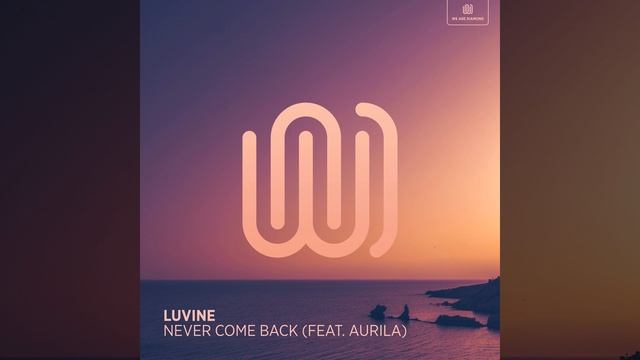 Never Come Back смотреть онлайн