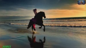 МОЯ ДОРОГА НЕ ЛЕГКА.