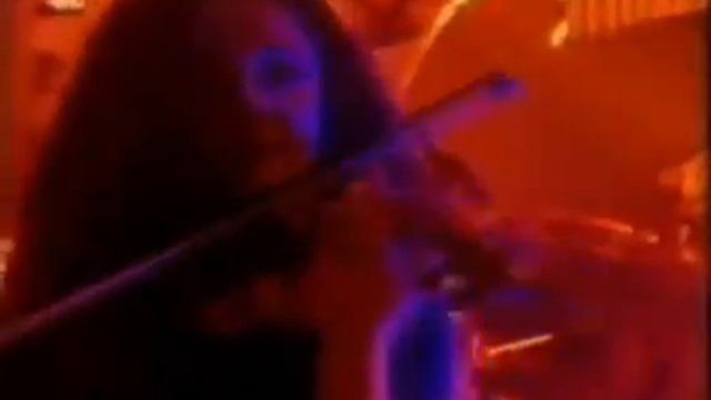 La sombra de la palmera смотреть онлайн