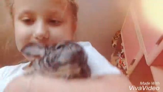 Моя Плюшка видио о лете смотреть онлайн