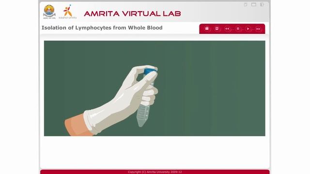 Isolation of lymphocytes from whole blood смотреть онлайн