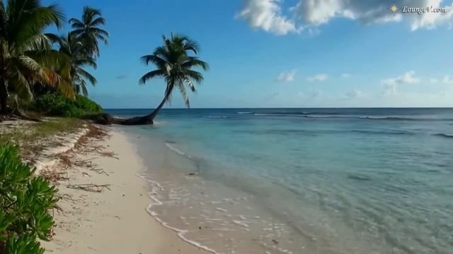 A fairy tale for adults pleasant, relaxing female voice. смотреть онлайн