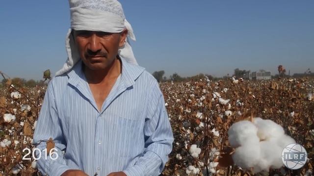 State Sponsored Forced Labor in Uzbekistan смотреть онлайн