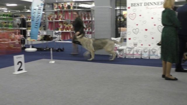 Сравнение на ЛПП смотреть онлайн