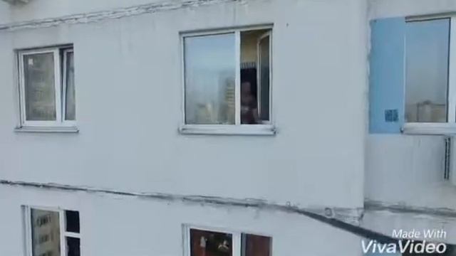 Цветы у дома смотреть онлайн