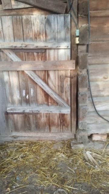 Коза -проказница и дверь!😂😵Открывает дверь запертую снаружи! смотреть онлайн