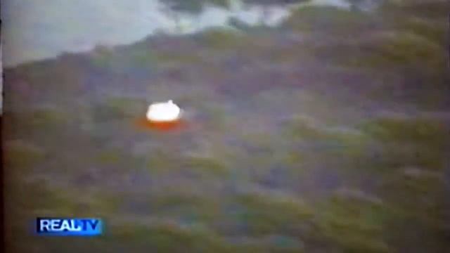 REALTV With Ahmad Rashad: Tallahassee Hitman Sting (2001) смотреть онлайн