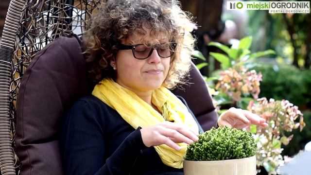 Kocham Tę Roślinę - HEBE S03 E01 смотреть онлайн