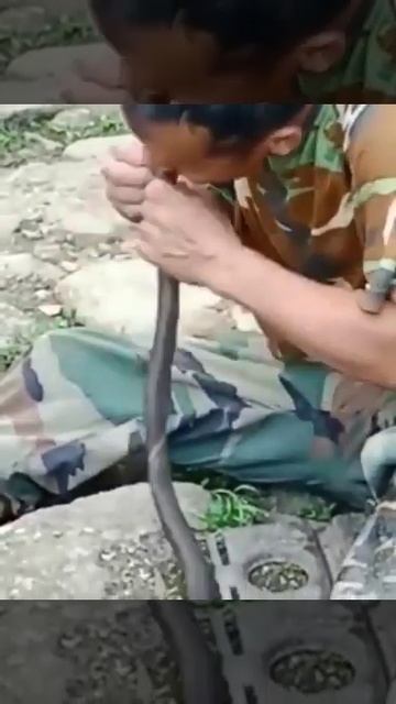 indian special force star👑🌠🌠 смотреть онлайн