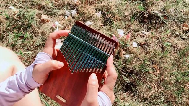 FLY ME TO THE MOON-FRANK SINATRA|Kalimba Cover with Tabs смотреть онлайн