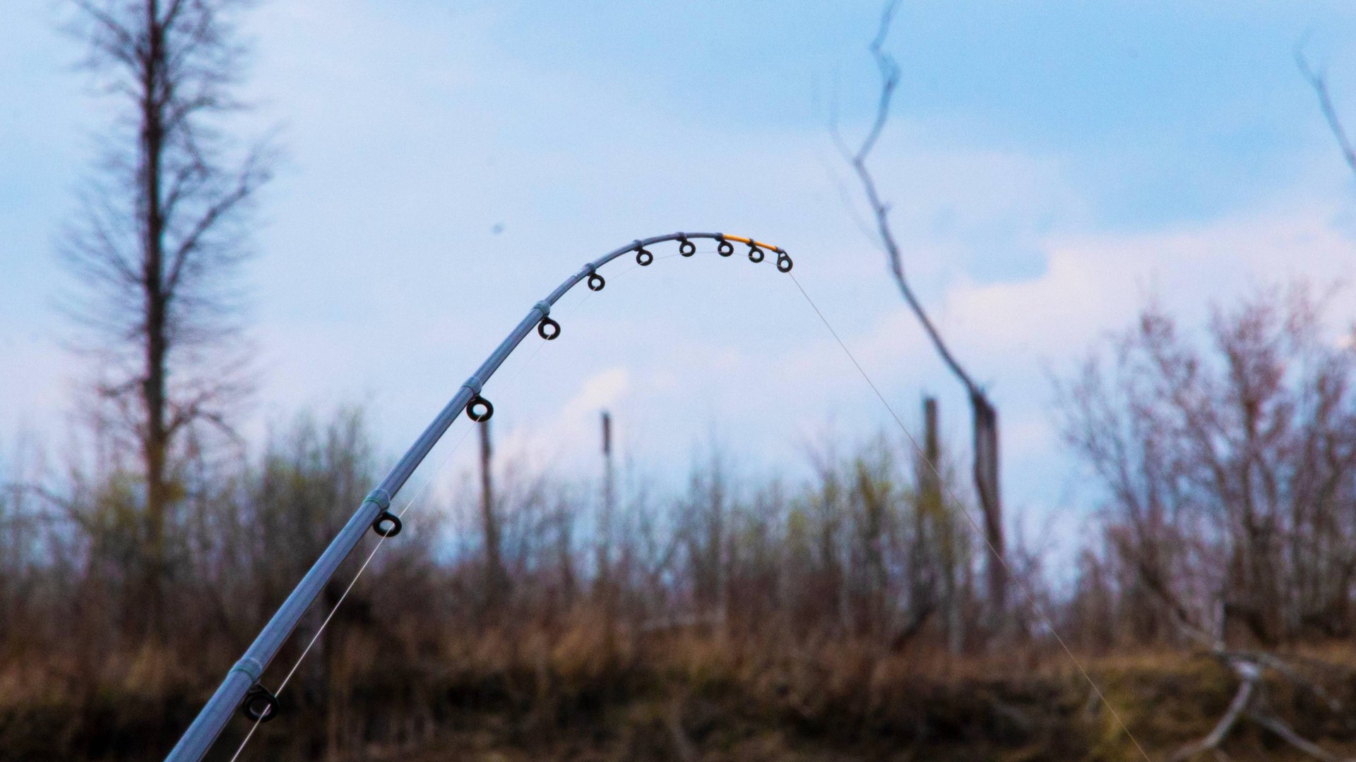 ОТКРЫТИЕ СЗОНА УДАЛОСЬ!ВЕСЕННЯЯ РЫБАЛКА НА ФИДЕР! 2025