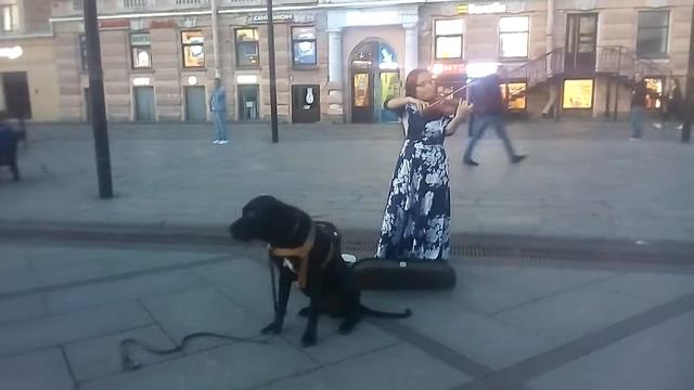 24 августа 2019 г. смотреть онлайн