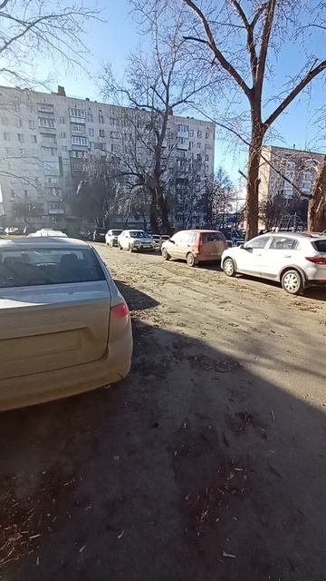 дом кафеля2