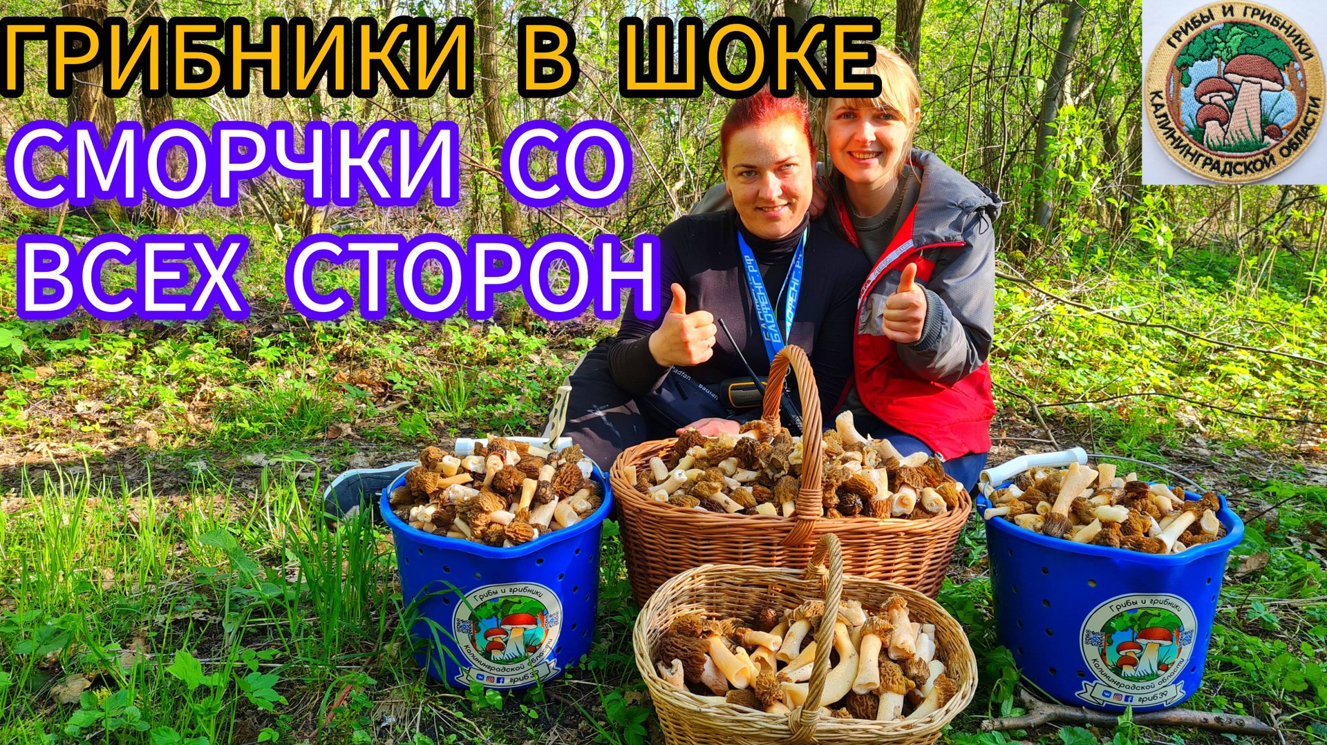 ГРИБНИКИ и ПОЛНЫЕ КОРЗИНЫ Что можно набрать в лесу весной смотреть онлайн