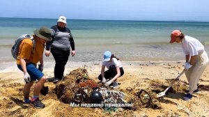 Откуда в Японии так много мусора. Реалистичный влог и уборка пляжа