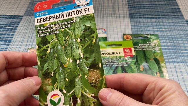 КАКИЕ ОГУРЦЫ БУДУ САЖАТЬ? // мой опыт смотреть онлайн