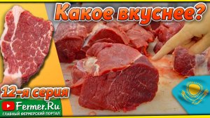 Мраморное мясо без всякого откорма! Разводите верблюдов! Дегустация бульона казахских бактрианов.