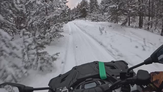 Loncin Xwolf 300. Зимняя прогулка по лесу. Обкатываем квадроцикл.