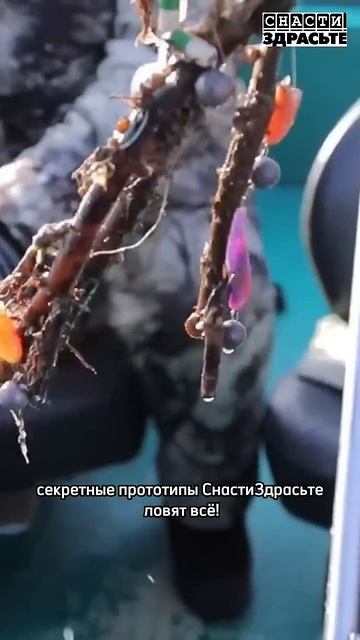 Астраханское раздолье: ловля судака и сазана по открытой водеСмотрите выпуск #снастиздрасьте смотреть онлайн