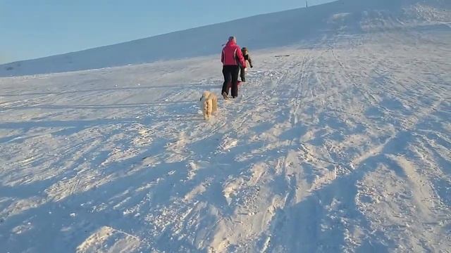 На горке 3 смотреть онлайн