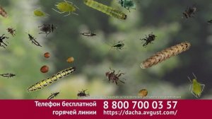 Реклама Август: Вредителей победит батрайдер! 10 сек 2025