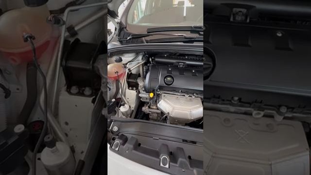 Video_2025-03-23_10-32-19