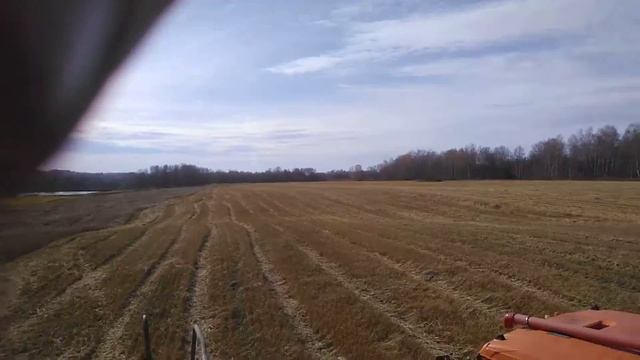 Октябрь. Уборка яровой пшеницы смотреть онлайн