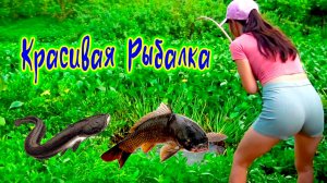 Красивая Рыбалка Девушка ловит крупную рыбу на поплавок большого карпа и сома в заросшем озере