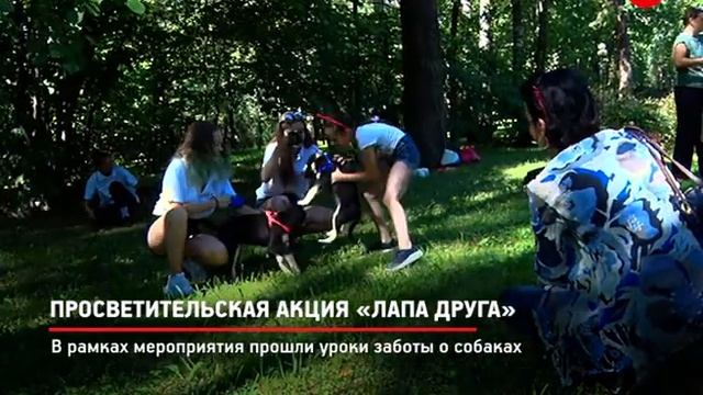 КРТВ. Просветительская акция «Лапа друга» смотреть онлайн
