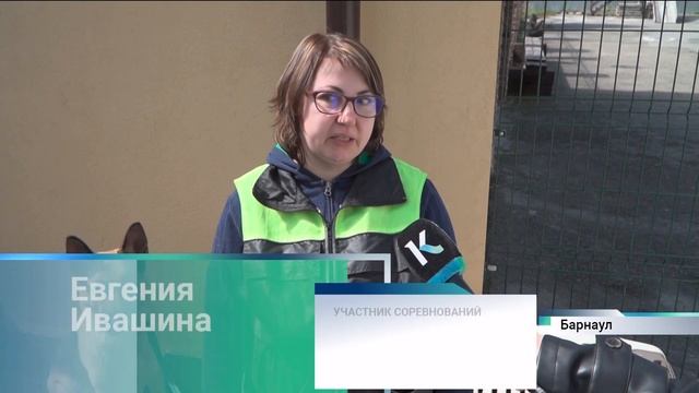 Первые поисковые соревнования для собак по ноузворку прошли в селе Лебяжьем смотреть онлайн