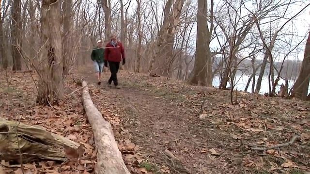 Parks Rec 'n Roll - Biggest Tree in Maryland смотреть онлайн