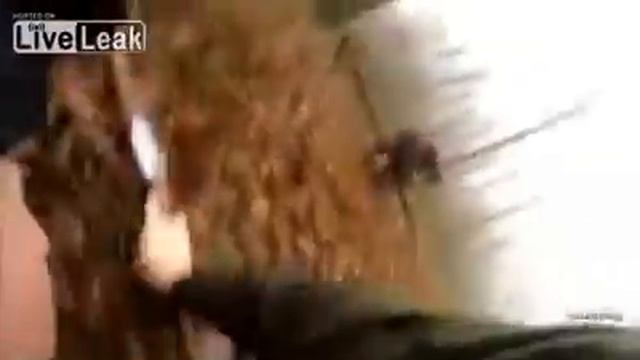 Кабан на охоте смотреть онлайн