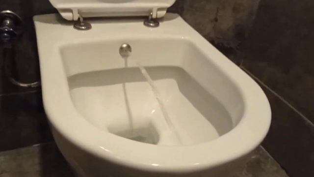 Hygienic shower How it works смотреть онлайн