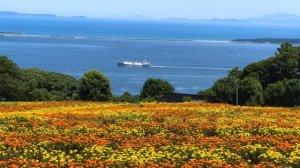 ЖИЗНЬ НА ЮГЕ ЯПОНИИ ЛЕТОМ! Японские пляжи, горы и водопады